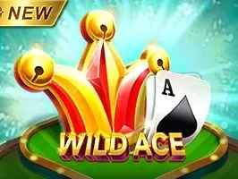 Wild Ace screenshot